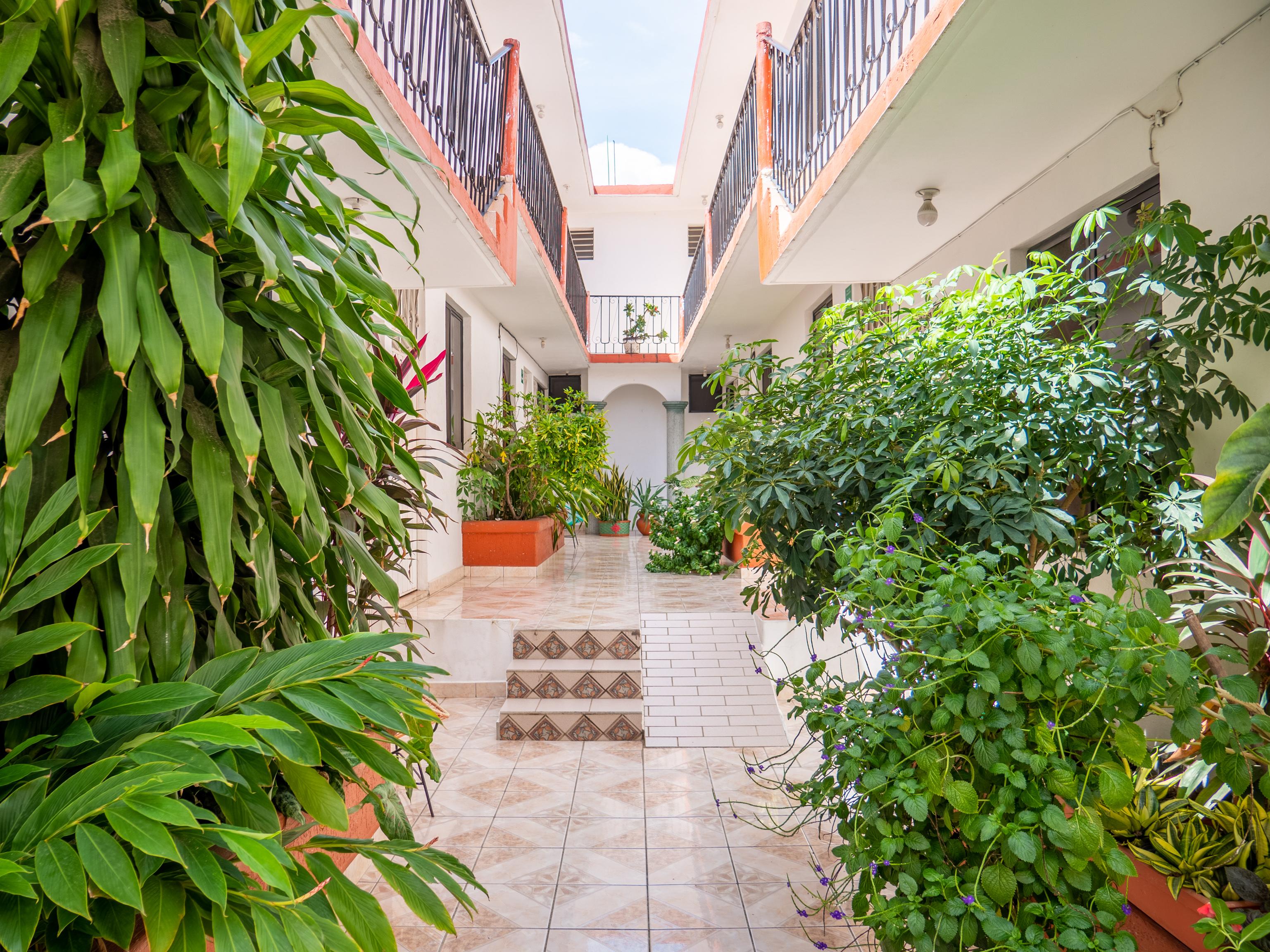 Oyo Hotel Arena Surf, Puerto Escondido Eksteriør billede